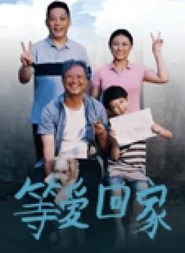等爱回家 (2025)海报