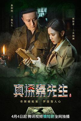 真探秦先生 (2023)海报