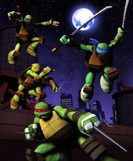 忍者神龟 第四季 Teenage Mutant Ninja Turtles Season 4 (2015)海报