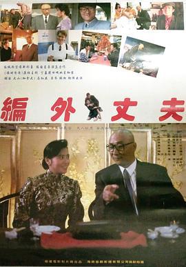 编外丈夫 (1993)海报