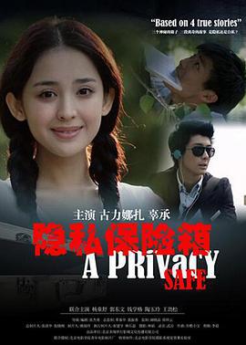 隐私保险箱 (2013)海报