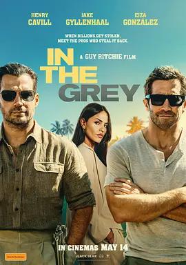金谍行动 In the Grey (2026) tc海报