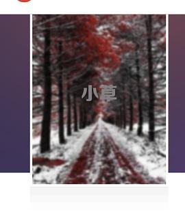 小草 (2007)海报