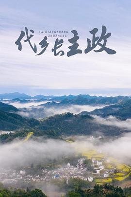 代乡长主政 (2011)海报