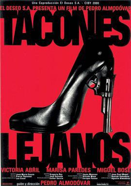 情迷高跟鞋 Tacones lejanos (1991)海报