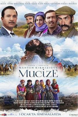 爱之奇迹 Mucize (2015)海报