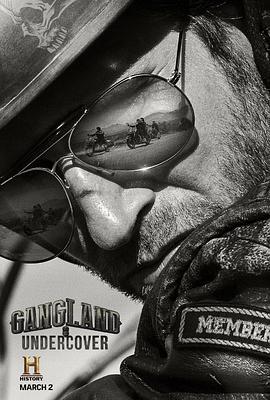黑帮卧底 第二季 Gangland Undercover Season 2 (2016)海报
