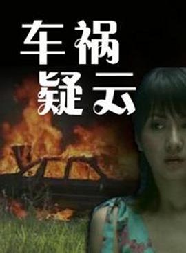 车祸疑云 (2009)海报