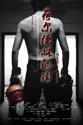 荷尔德林的陶 (2011)海报