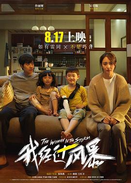 我经过风暴 (2023)海报
