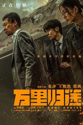 万里归途 (2022) tc海报