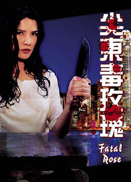 夜之女海报