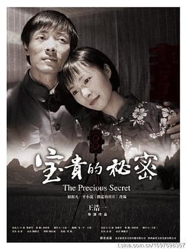 宝贵的秘密 (2009)海报