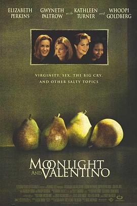 月光情圣 Moonlight and Valentino (1995)海报