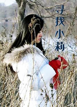 寻找小莉 (2008)海报