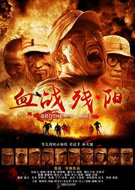 血战残阳 (2013)海报