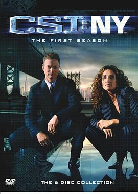 犯罪现场调查：纽约 第一季 CSI: NY Season 1 (2004)海报
