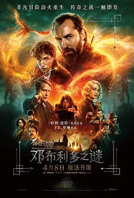 神奇动物：邓布利多之谜 Fantastic Beasts: The Secrets of Dumbledore (2022)海报