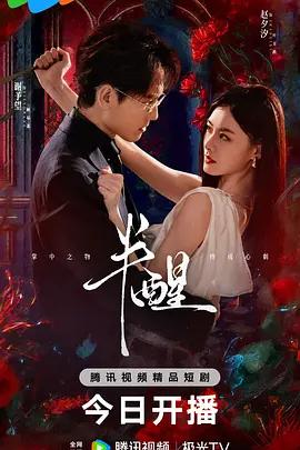 半醒 (2026)海报