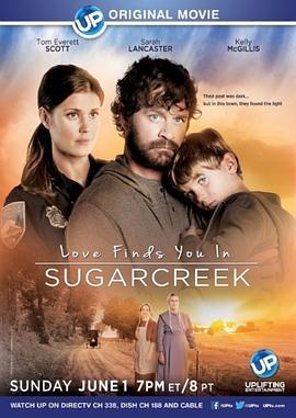 甜蜜湾之恋 Love Finds You in Sugarcreek (2014)海报
