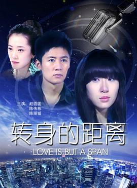 转身的距离 (2010)海报