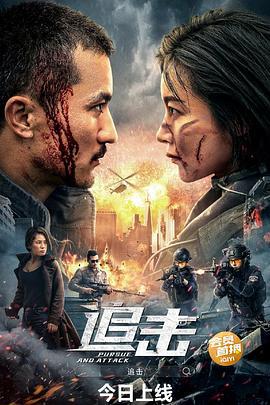 追击 (2023)海报