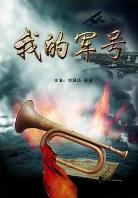 我的军号 (2011)海报
