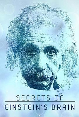 爱因斯坦大脑的秘密 Secrets of Einstein's Brain (2015)海报