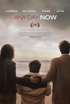 爱若此时 Any Day Now (2012)海报