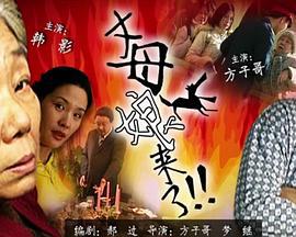 丈母娘来了 (2002)海报
