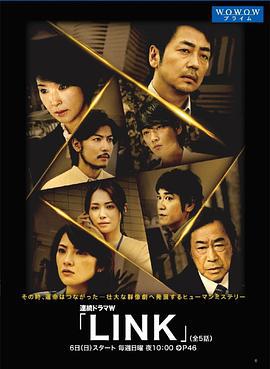 LINK (2013)海报
