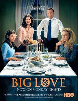 大爱 第二季 Big Love Season 2 (2007)海报