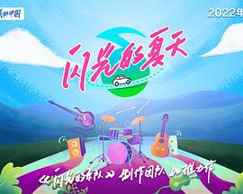 闪光的夏天 (2024) pd海报
