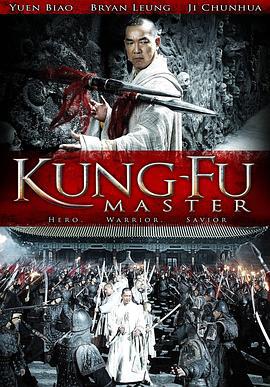 功夫大师 (2010)海报