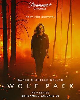 狼群 Wolf Pack (2023)海报