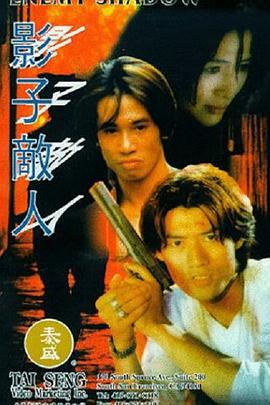 影子敌人 影子敵人 (1995)海报