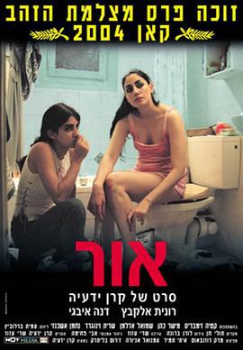 我的宝藏 אור (2004) dvd海报