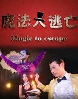 魔法大逃亡 (2014)海报