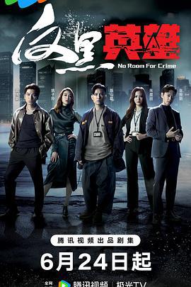 反黑英雄 (2024)海报