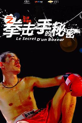 11度青春之《拳击手的秘密》 (2010)海报