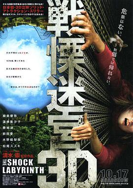 战栗迷宫3D 戦慄迷宮3D (2009)海报