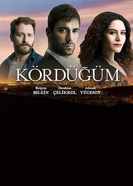 爱情交叉点 Kördügüm (2016)海报