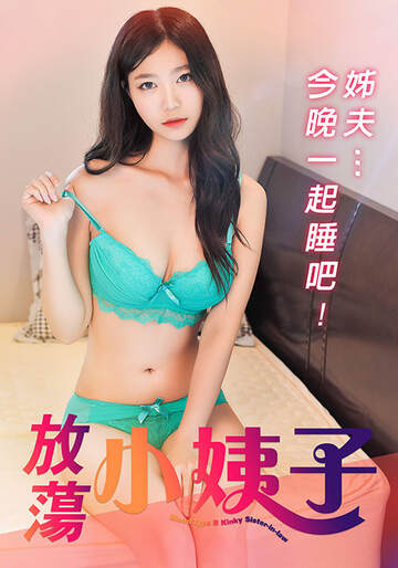 放荡小姨子海报