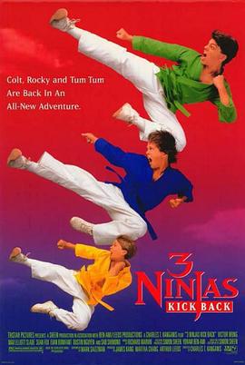 忍者小英雄2 3 Ninjas Kick Back (1994)海报