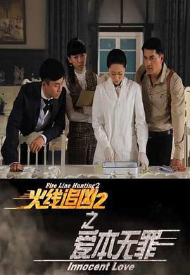 火线追凶2之爱本无罪 (2013)海报