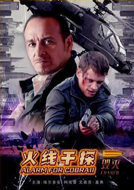 火线干探之毁灭 (2016)海报