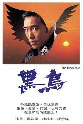 黑鸟 黑鳥 (1995)海报
