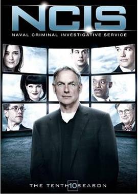 海军罪案调查处 第十季 NCIS: Naval Criminal Investigative Service Season 10 (2012)海报