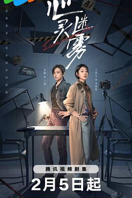心灵迷雾 (2025)海报