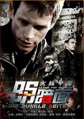 火线干探之阴暗面 Alarm für Cobra 11 - Die Autobahnpolizei－Die dunkle Seite (2014)海报